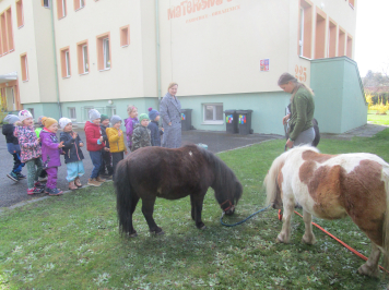 img-0110.JPG