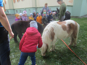 img-0111.JPG
