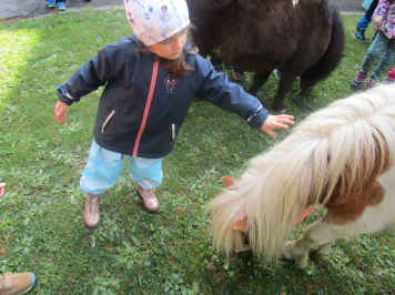 img-0112.JPG