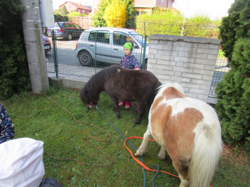 img-0975.JPG