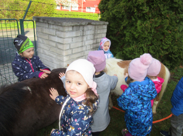 img-0981.JPG