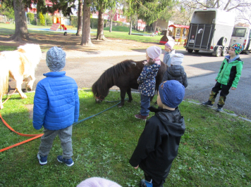 img-2869.JPG