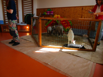 img-2874.JPG
