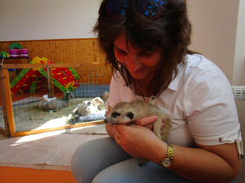 img-2878.JPG