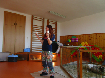 img-2886.JPG