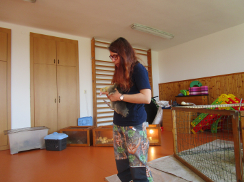 img-2887.JPG