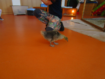 img-2888.JPG
