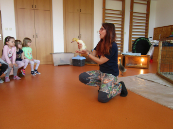img-2889.JPG
