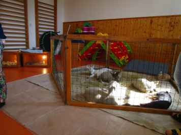 img-2892.JPG