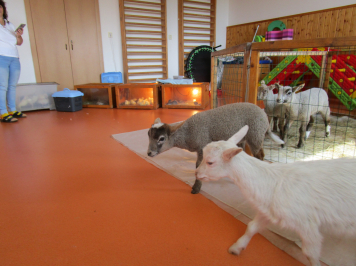 img-2894.JPG