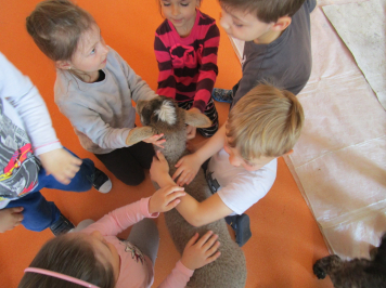 img-2899.JPG
