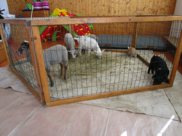 img-0002.JPG