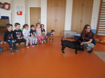 img-0009.JPG
