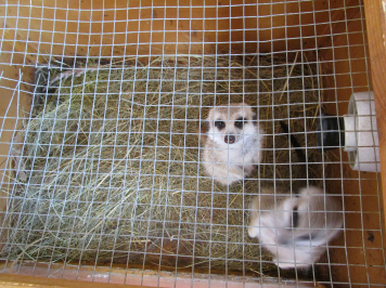 img-0013.JPG