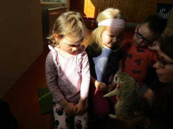 img-0025.JPG