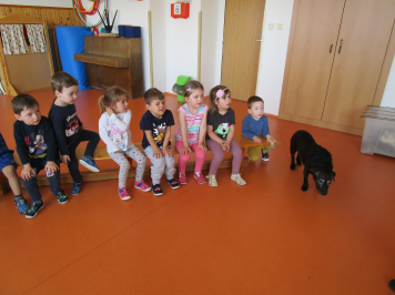 img-0027.JPG