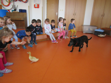img-0030.JPG