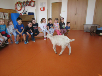 img-0031.JPG