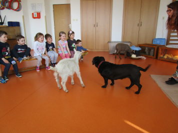 img-0032.JPG