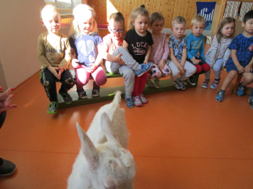 img-0036.JPG