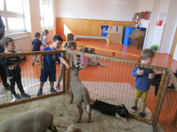 img-0039.JPG