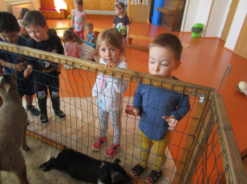 img-0040.JPG