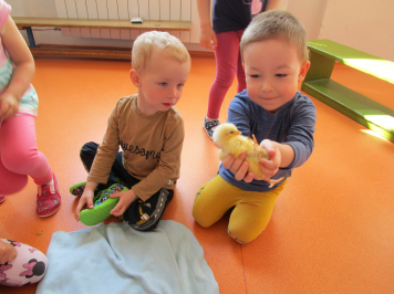 img-0052.JPG