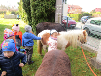img-0087.JPG